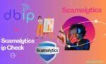 scamalytics|scamalytics ip check.